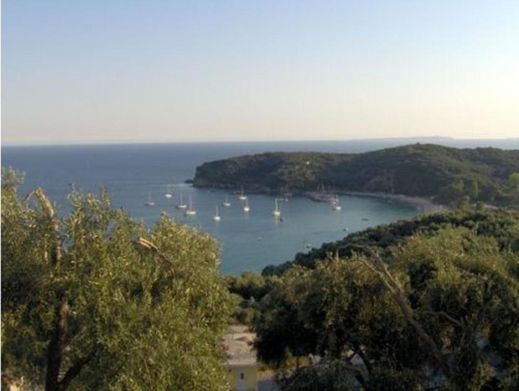 Studios Nikolaou Bros Parga Extérieur photo