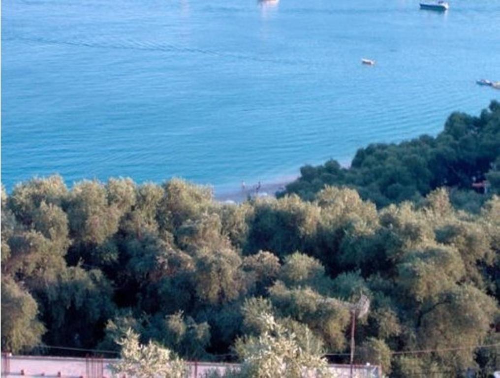 Studios Nikolaou Bros Parga Extérieur photo
