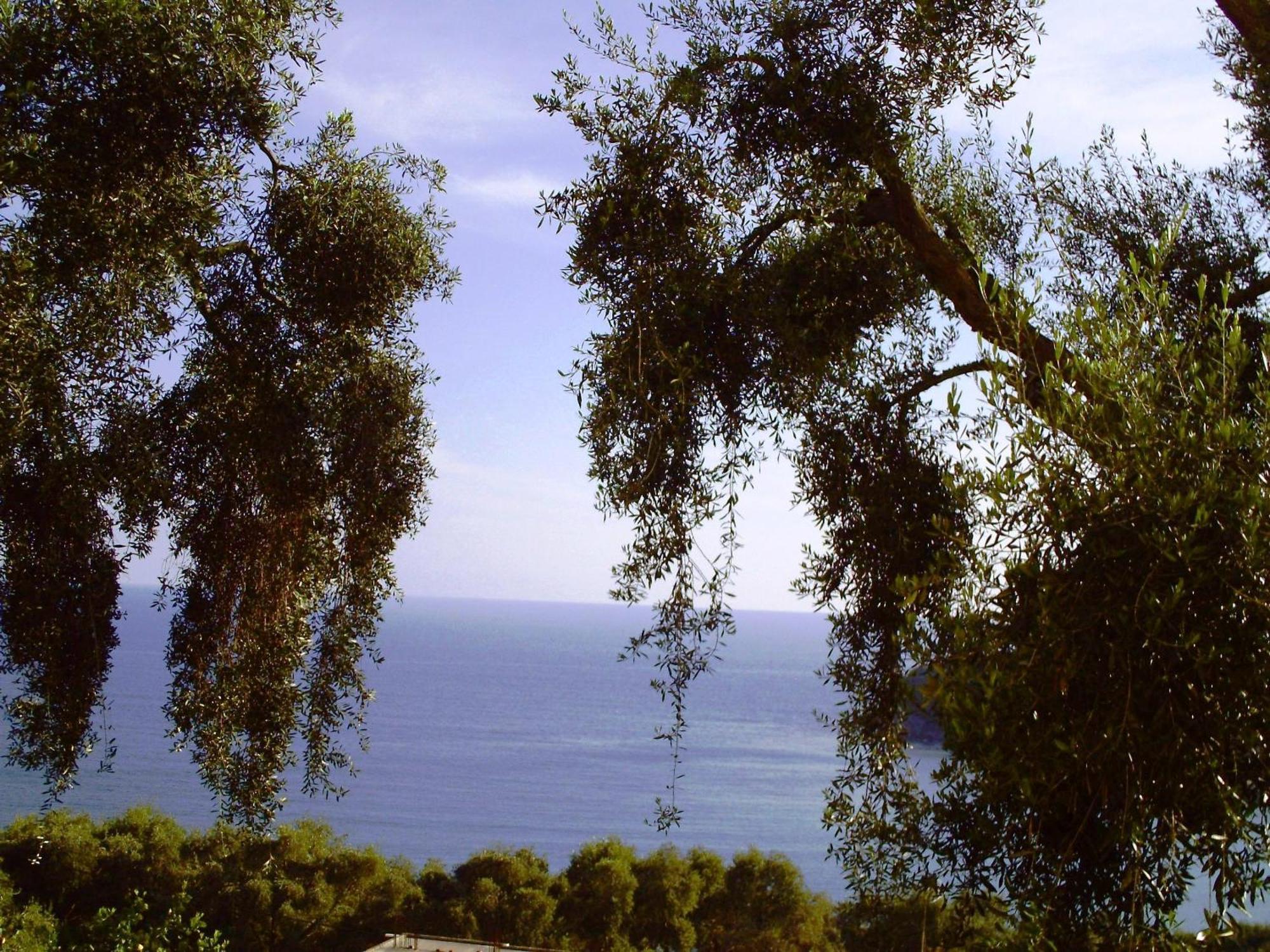 Studios Nikolaou Bros Parga Extérieur photo